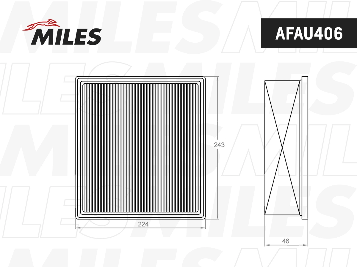 MILES AFAU406 - Воздушный фильтр