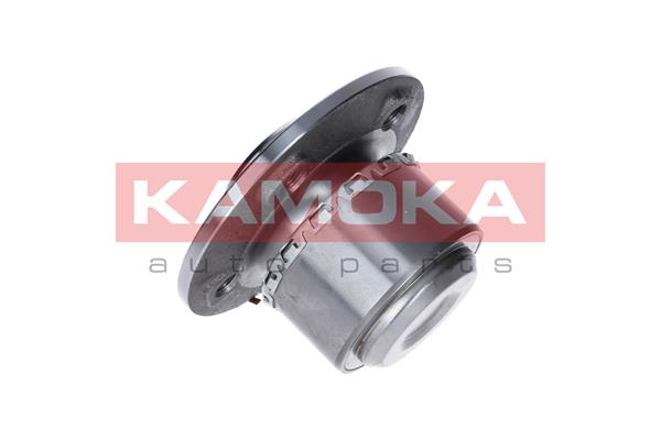 KAMOKA 5500136 - Комплект подшипника ступицы колеса KAMOKA