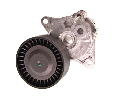 MAXGEAR 54-0031 - Натяжитель ремня генератора