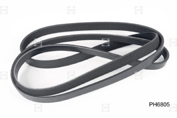 HOLA PH6805 - Ремень генератора