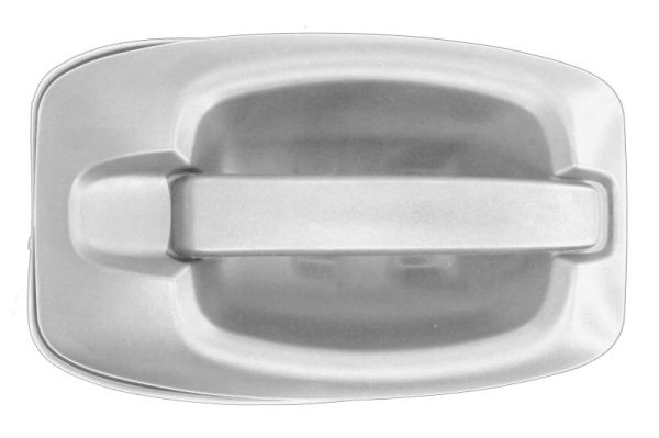 Ручка двери