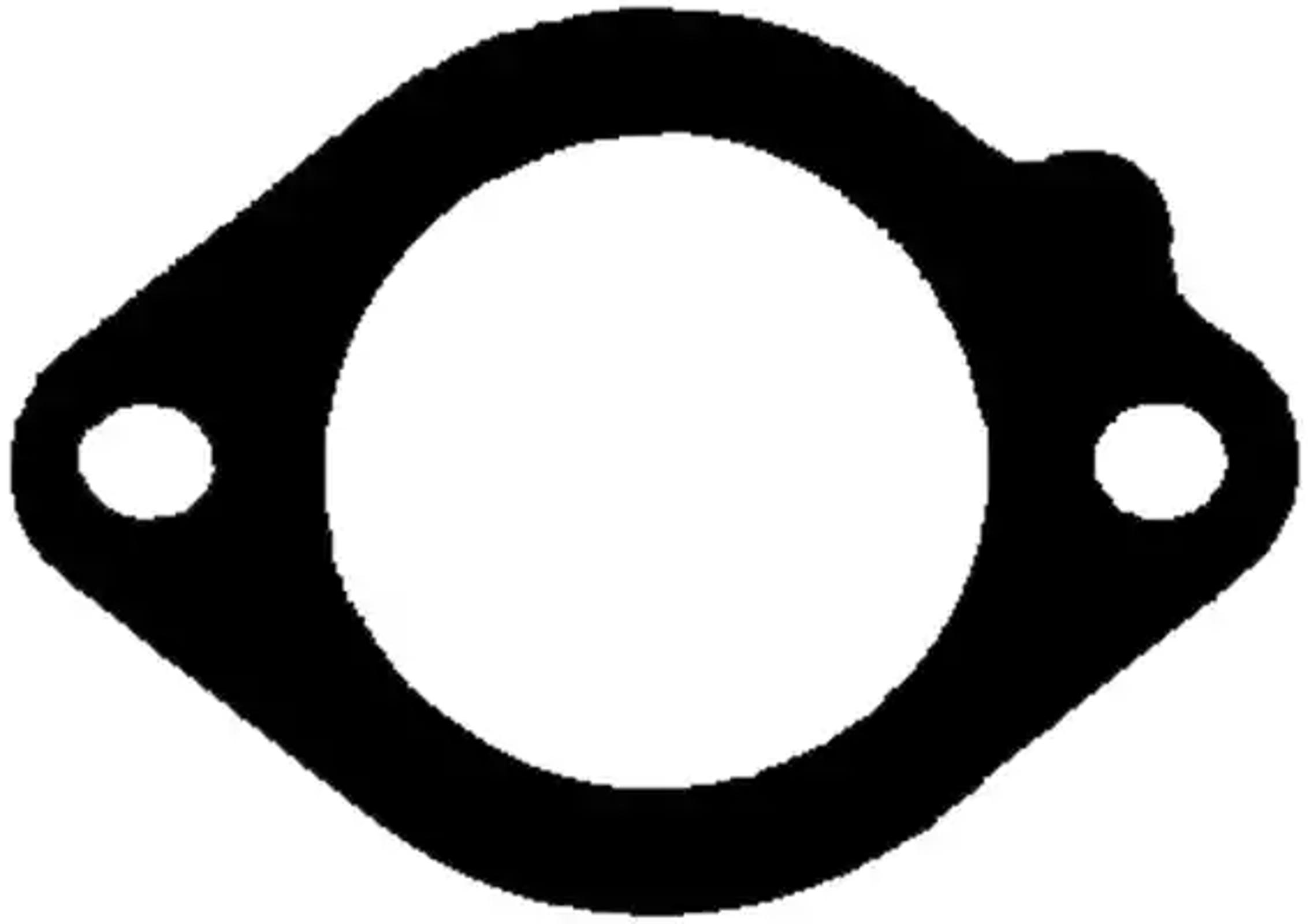 REINZ 713713600 - Прокладка выпускного коллектора BMW E90/E60 2.5i/3.0i N53 07> x2