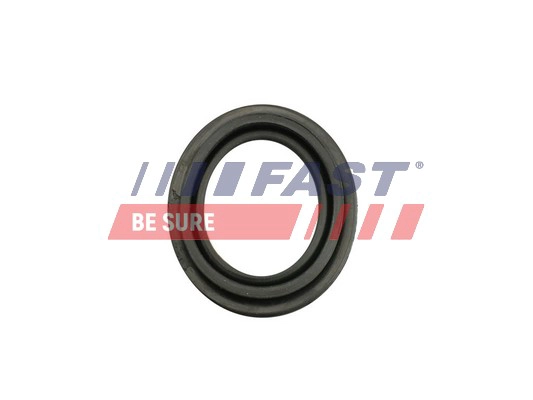 FAST FT32483 - Ремкомплект суппорта