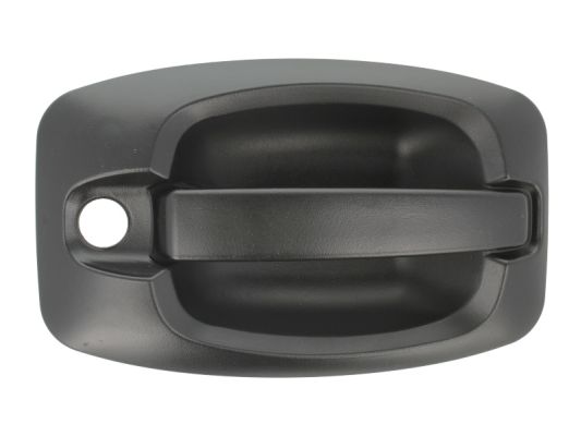 Ручка двери