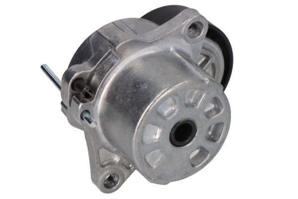 BTA E3M0005BTA - Натяжитель ремня генератора