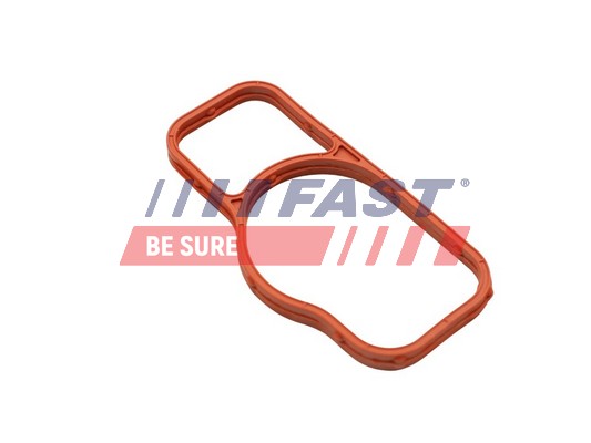 FAST FT57402 - Прокладка помпы