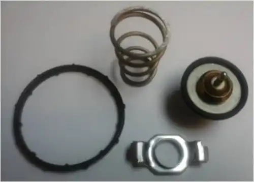 MOTORAD 72495k - Термостат