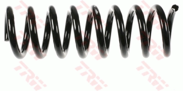 TRW JCS669 - Пружины 