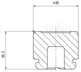 TRIALLI RCF 032009P - Поршень суппорта