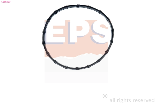 Прокладка, термостат Made in Italy - OE Equivalent