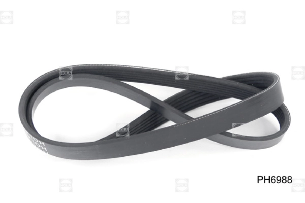 HOLA PH6988 - Ремень генератора