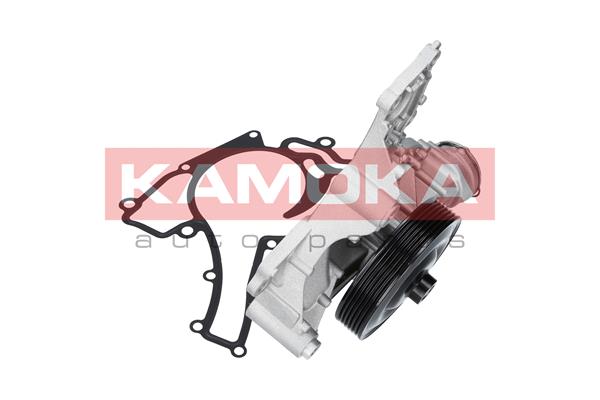 KAMOKA T0195 - Водяной насос, охлаждение двигателя KAMOKA