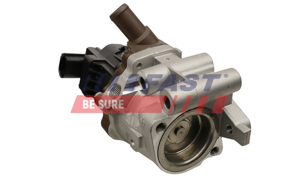 FAST FT60248 - Клапан ЕГР