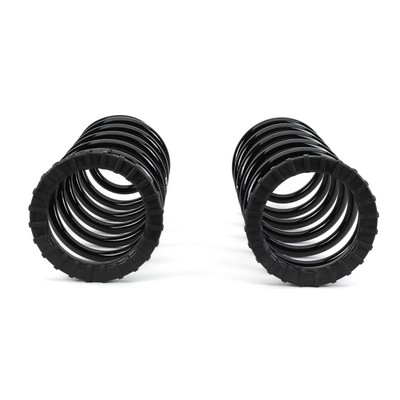 ARNOTT C-2410 - Пружины 