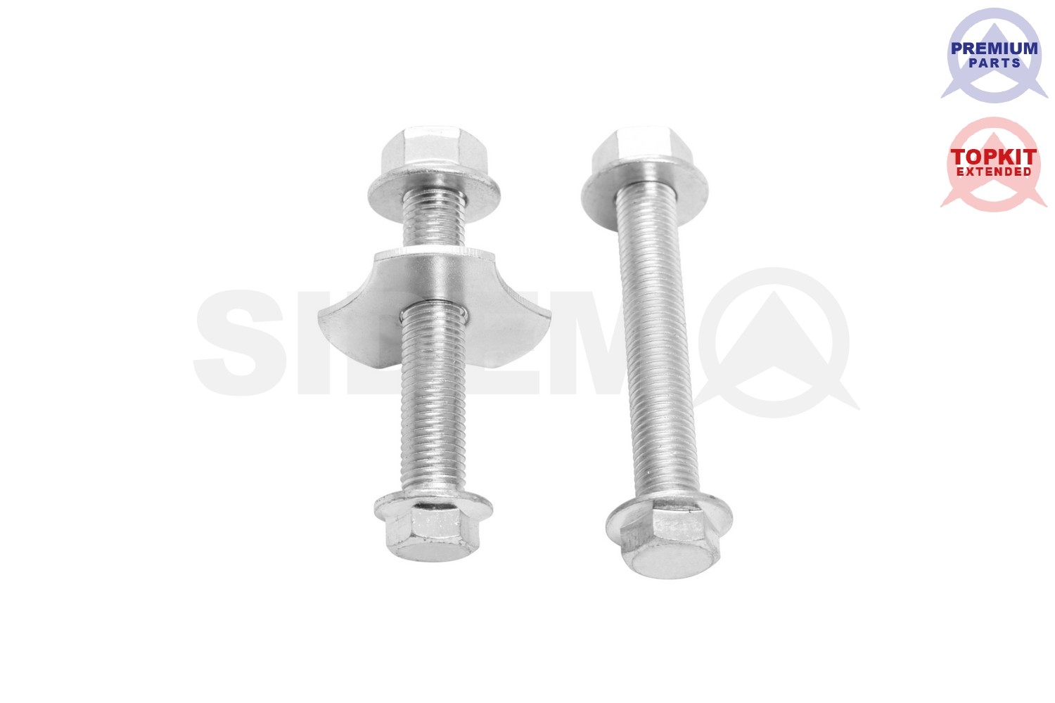 SIDEM 49006 - Комплект болтов подвески