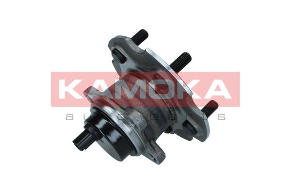 KAMOKA 5500293 - Комплект подшипника ступицы колеса KAMOKA