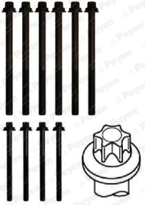 PAYEN HBS251 - Болты ГБЦ