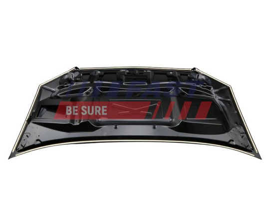 FAST FT89129 - Капот