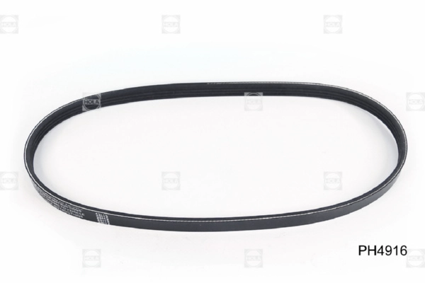HOLA PH4916 - Ремень генератора
