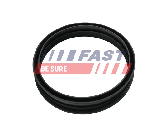 FAST FT48501 - Прокладка топливного насоса