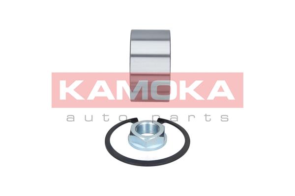 KAMOKA 5600089 - Комплект подшипника ступицы колеса KAMOKA