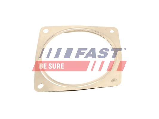 FAST FT84815 - Прокладка глушителя