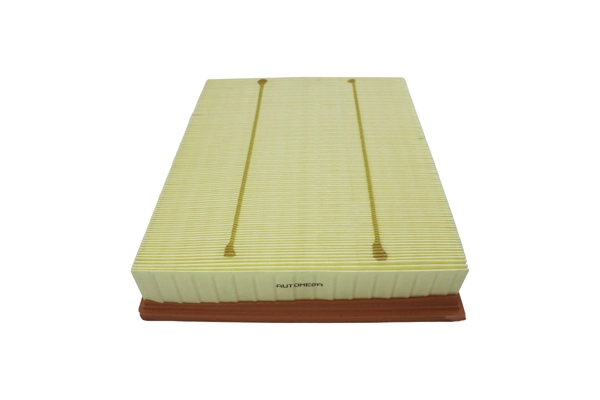 AUTOMEGA 180025810 - Воздушный фильтр