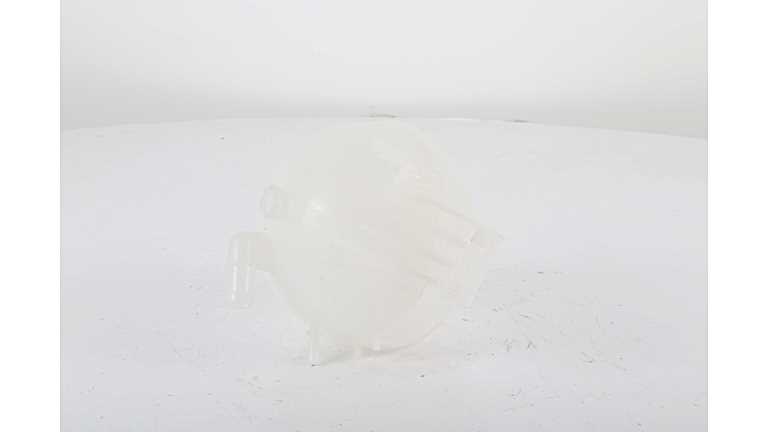 BSG BSG 60-551-002 - Расширительный бачок