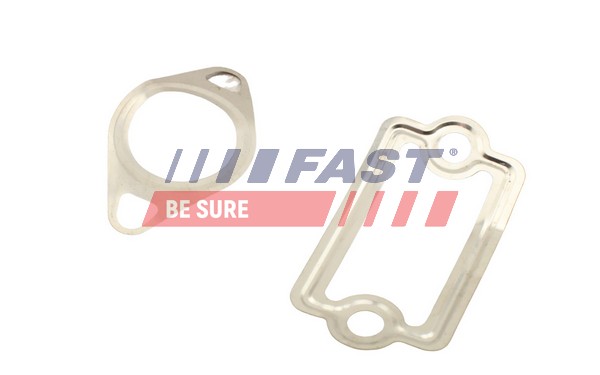 FAST FT49925 - Прокладка клапана рециркуляции ОГ