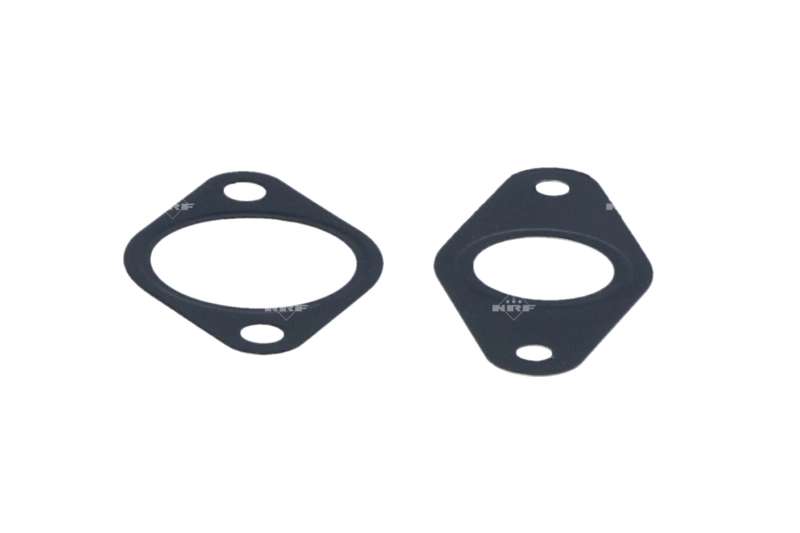 NRF 48322 - Клапан ЕГР