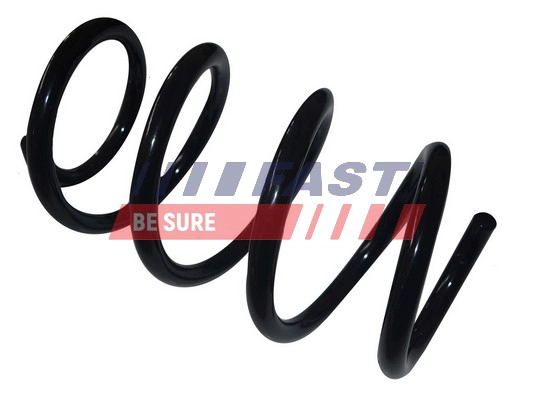 FAST FT12230 - Пружины 