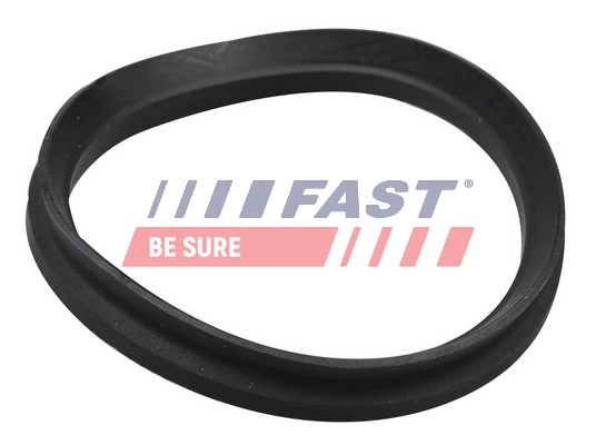 FAST FT12192 - Шайба опорного подшипника