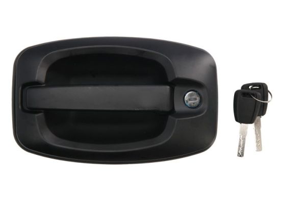 Ручка двери