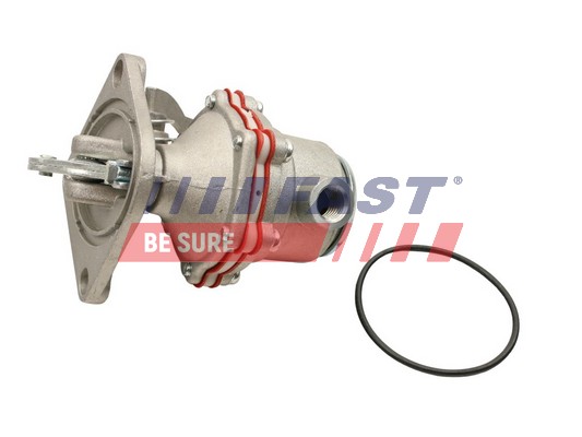 FAST FT53025 - Топливный насос