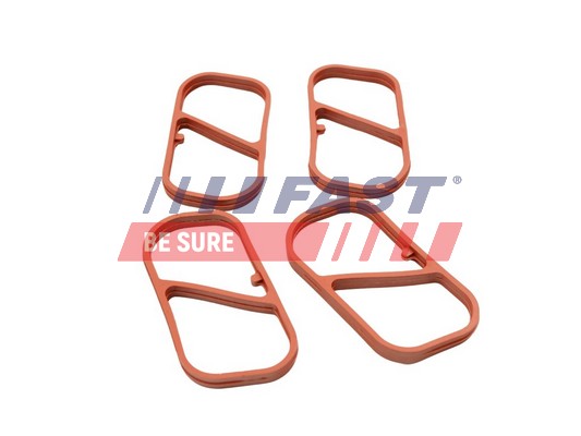 FAST FT49453 - Прокладка впускного коллектора