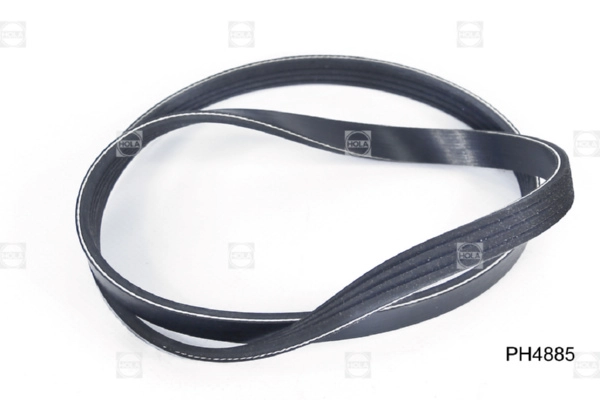 HOLA PH4885 - Ремень генератора