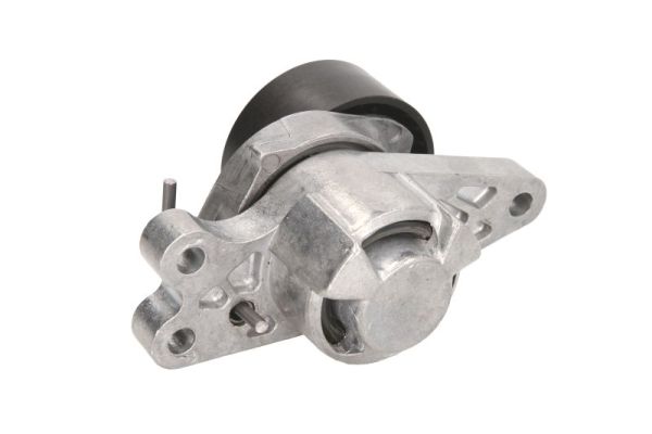 BTA E3C0013BTA - Натяжной ролик