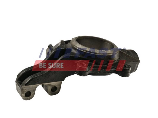 FAST FT13553 - Кулак поворотный