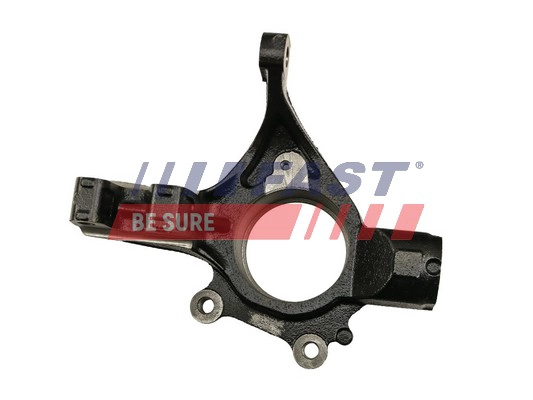 FAST FT13554 - Кулак поворотный