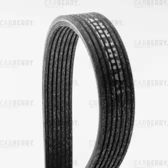 CARBERRY 7dpk1884 - ремень поликлиновой