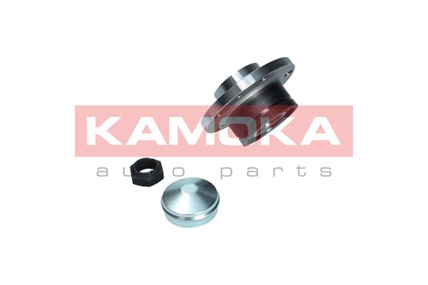 KAMOKA 5500169 - Комплект подшипника ступицы колеса KAMOKA