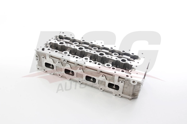 BSG BSG 25-110-009 - Головка блока цилиндров