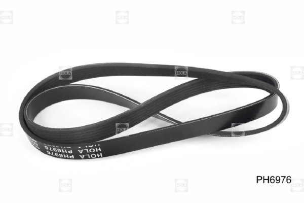 HOLA PH6976 - Ремень генератора