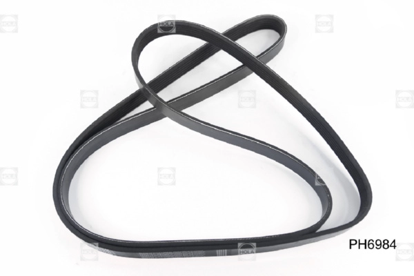 HOLA PH6984 - Ремень генератора