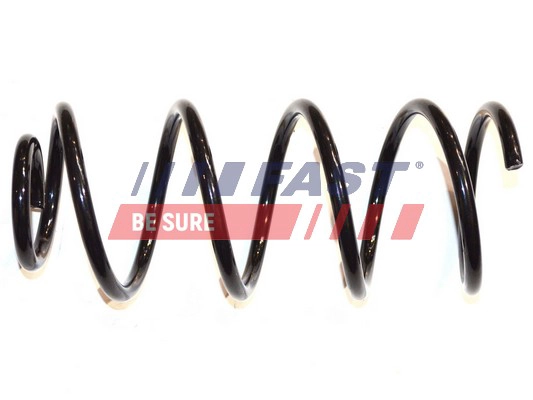 FAST FT12251 - Пружины 