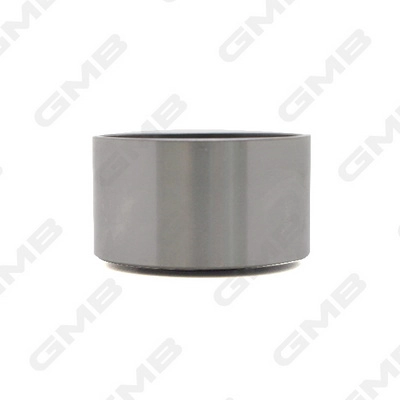 GMB GT60550 - Обводной ролик ГРМ