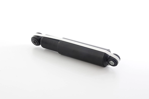 BSG BSG 25-300-006 - Амортизатор