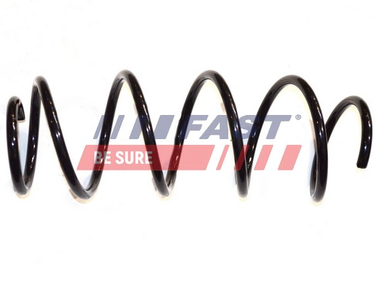 FAST FT12245 - Пружины 