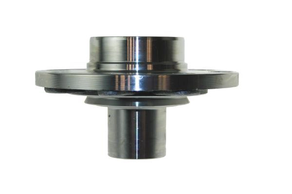 AUTOMEGA 110166910 - Ступица колеса