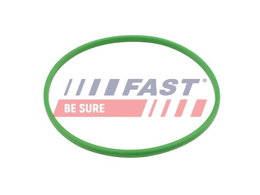 FAST FT48503 - Прокладка топливного насоса